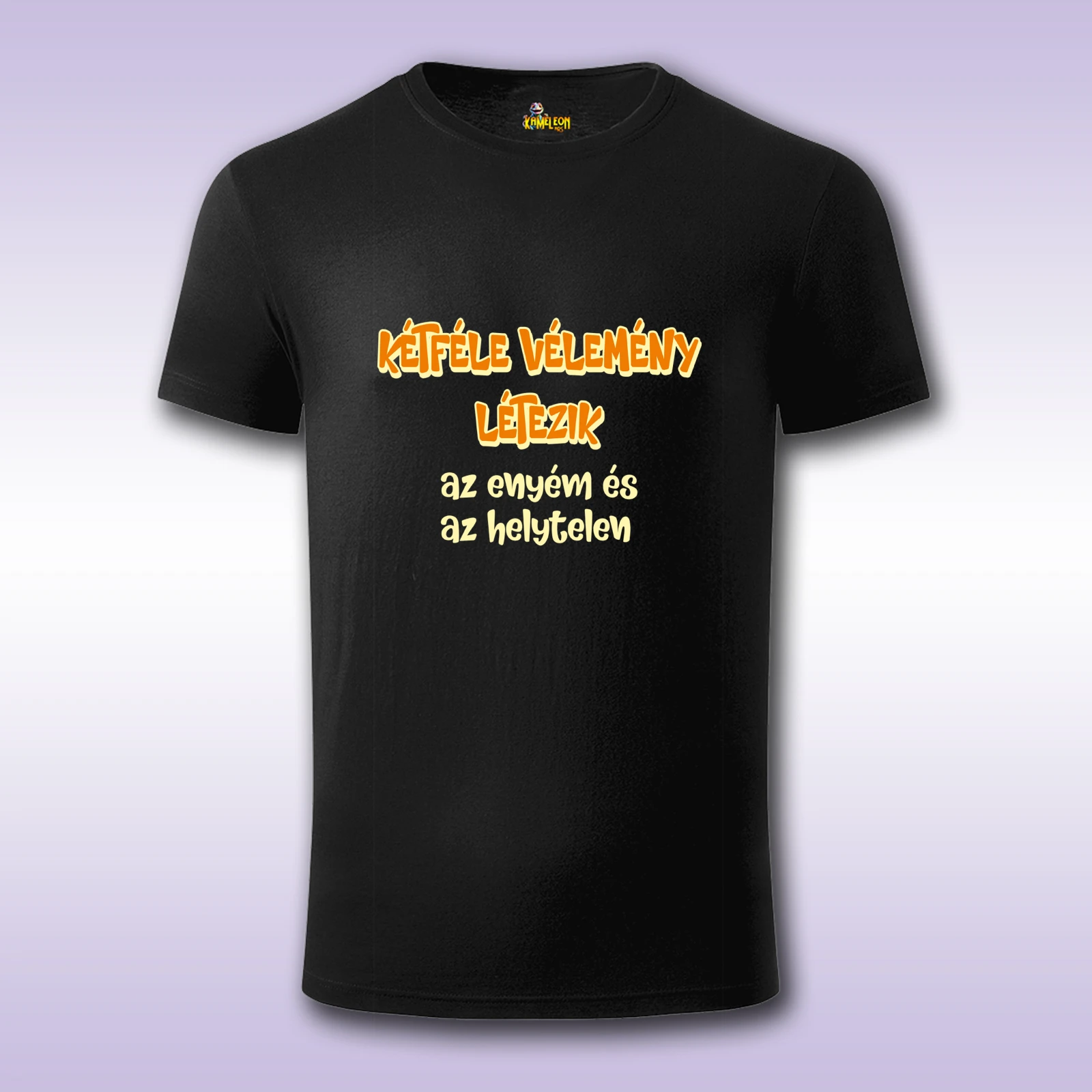 Ketfele velemeny - Slika 2